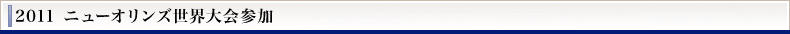 2011 �j���[�I�����Y���E���Q��